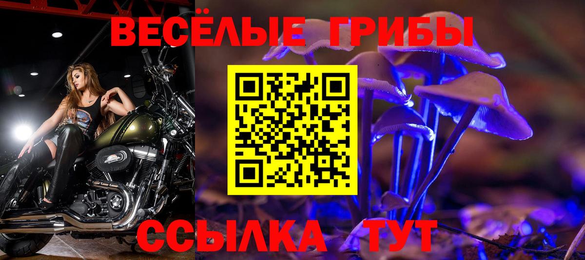 Псилоцибиновые грибы мухоморы  Вход с VPN  Камышин 